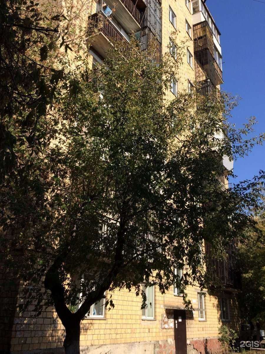 Отзывы на компанию Центральная оптика для всей семьи в Красноярске c фото - фотография 2 из 2