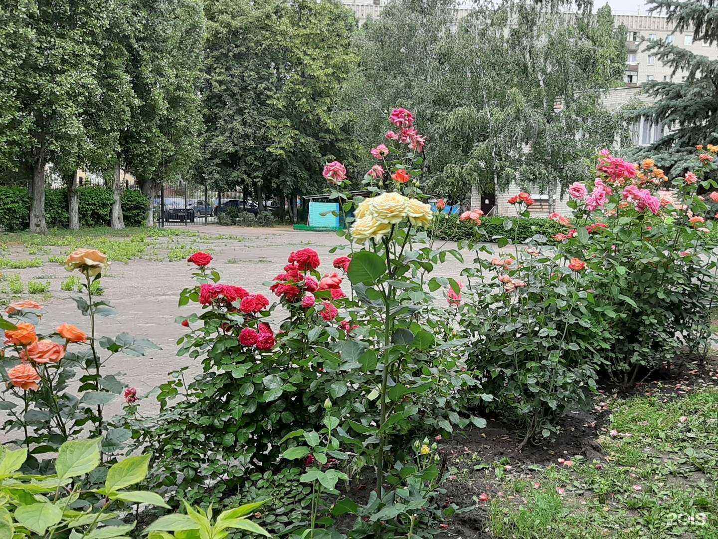 Отзывы на компанию Детский сад №143 комбинированного вида в Воронеже c фото