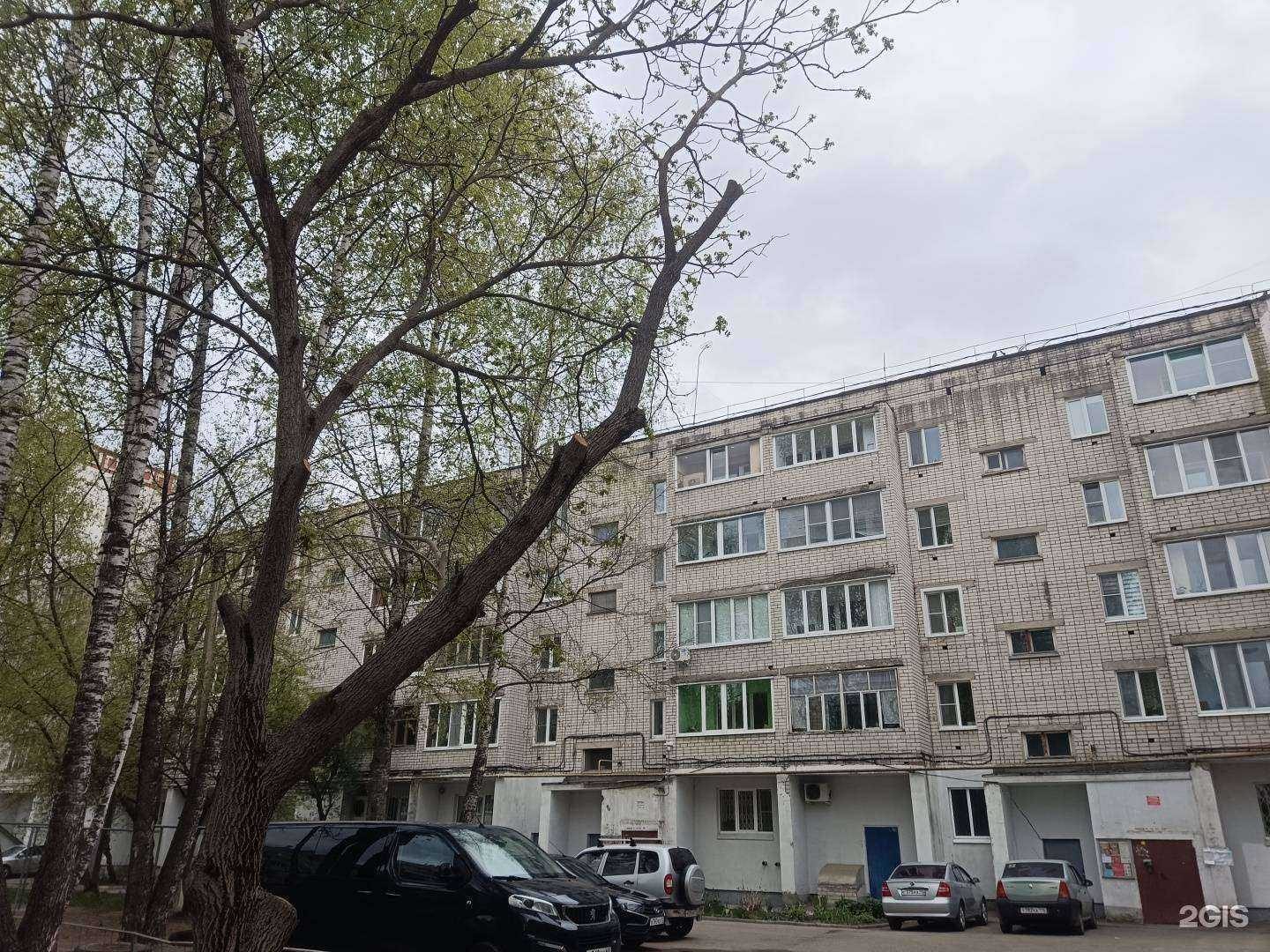 Отзывы на компанию Простая еда в Йошкар-Оле c фото - фотография 2 из 2