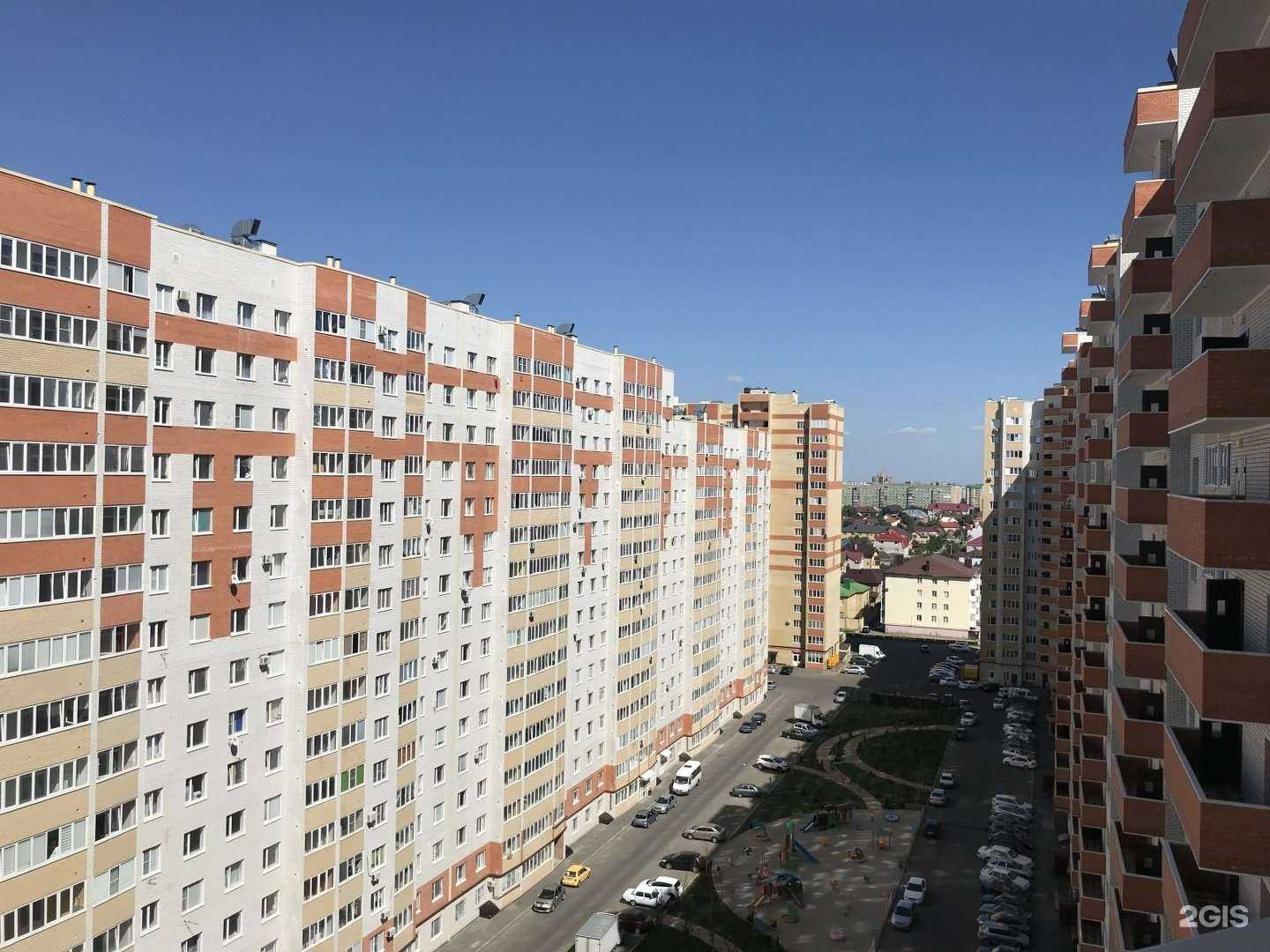 Отзывы на компанию ЕжеВика в Ставрополе c фото - фотография 2 из 2