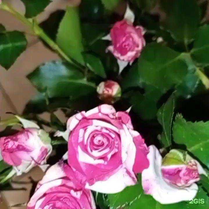 Отзывы на компанию У Солнышко в г. Ульяновск c фото