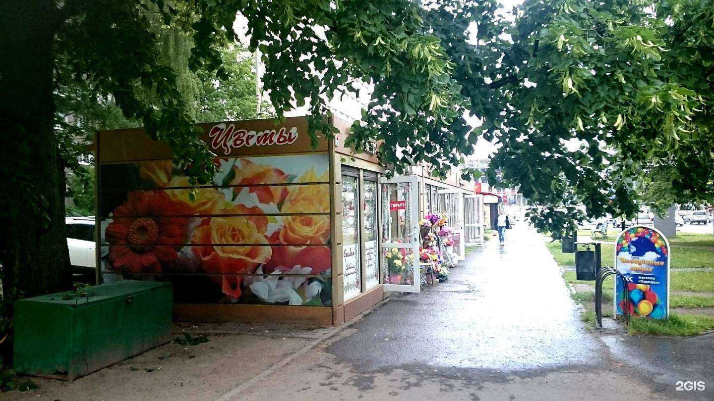 Отзывы на компанию Орхидея в Калининграде c фото - фотография 2 из 2