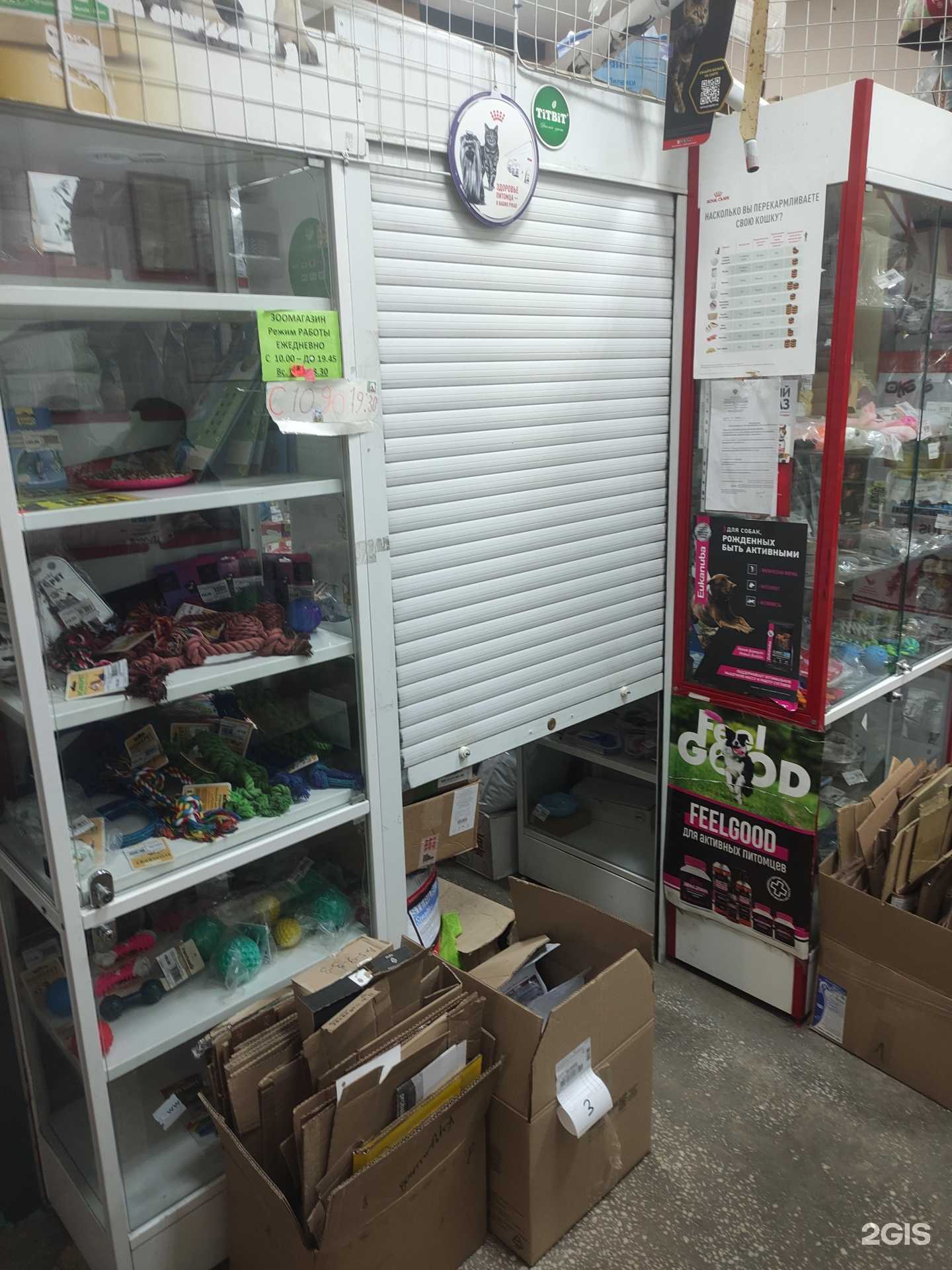 Отзывы на компанию Зоомагазин в г. Раменское c фото