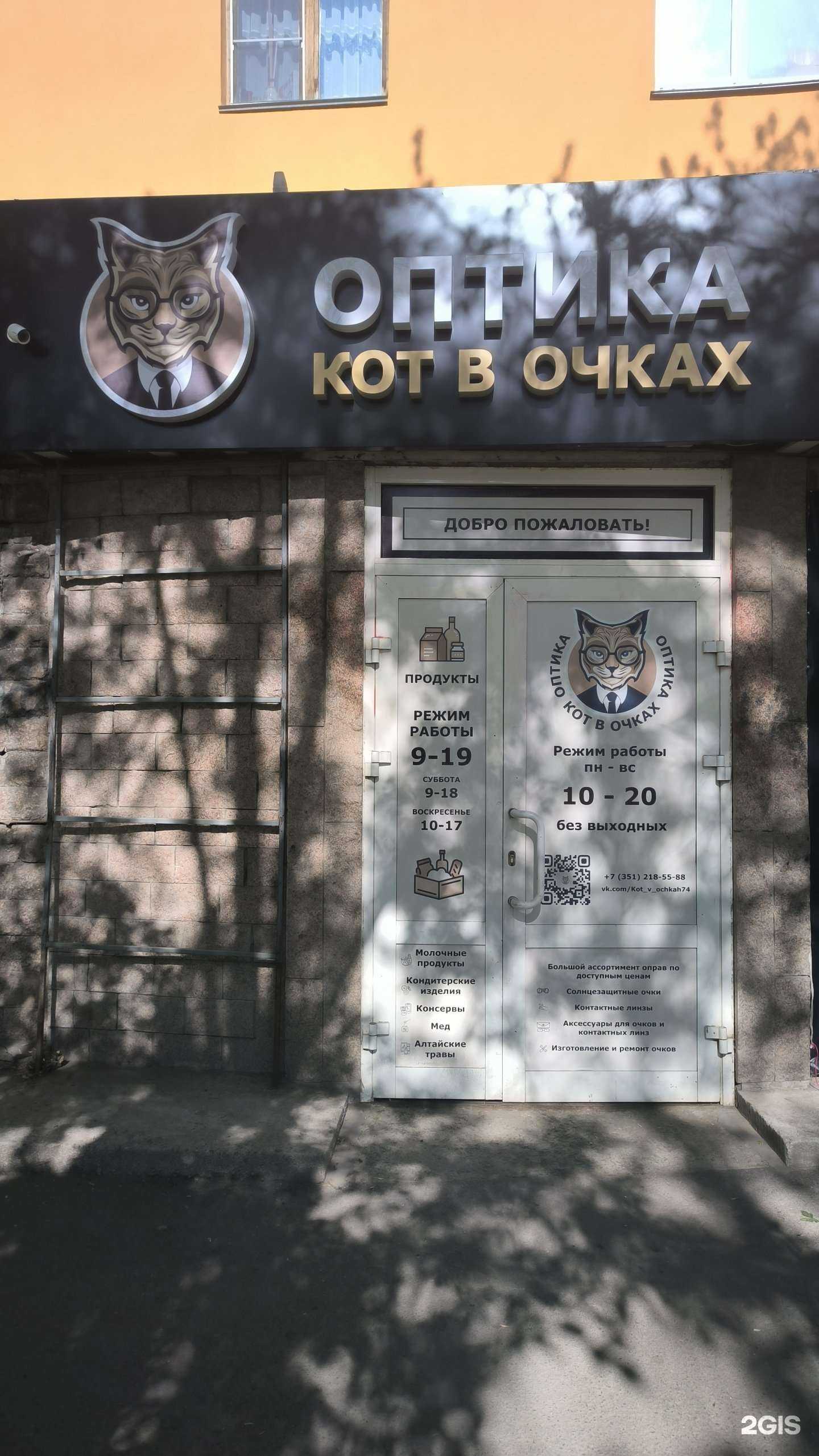 Отзывы на компанию Кот в очках в Челябинске c фото