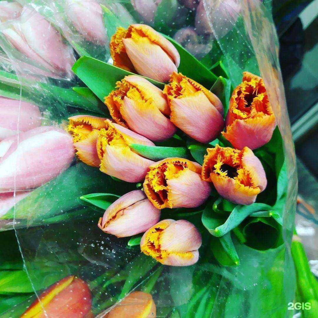 Отзывы на компанию Магазин цветов в г. Нижний Новгород c фото