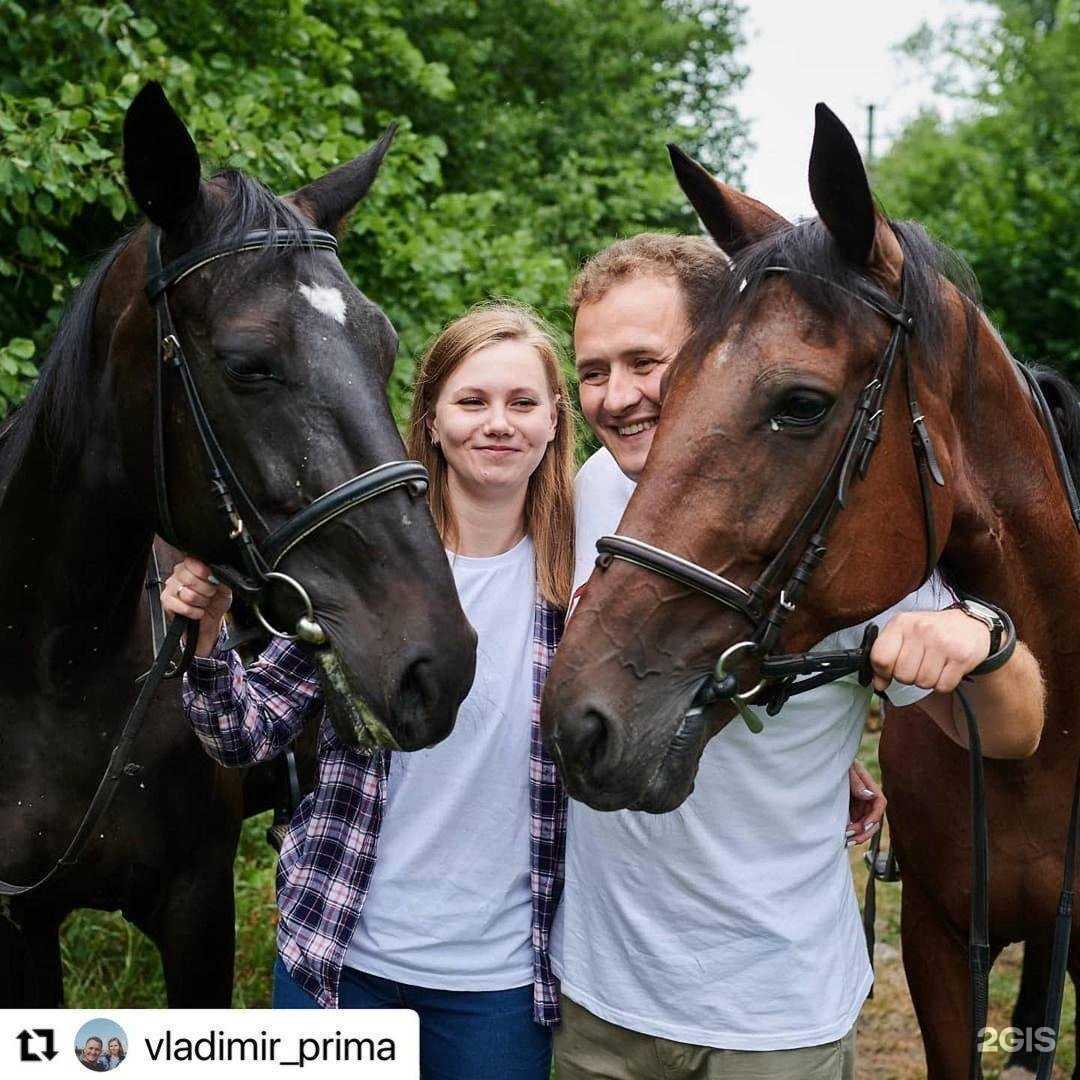Отзывы на компанию Галоп в г. Ульяновск c фото