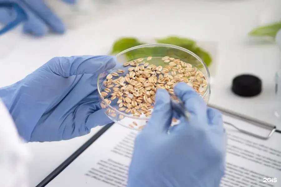 Отзывы на компанию Миллаб система в г. Краснодар c фото