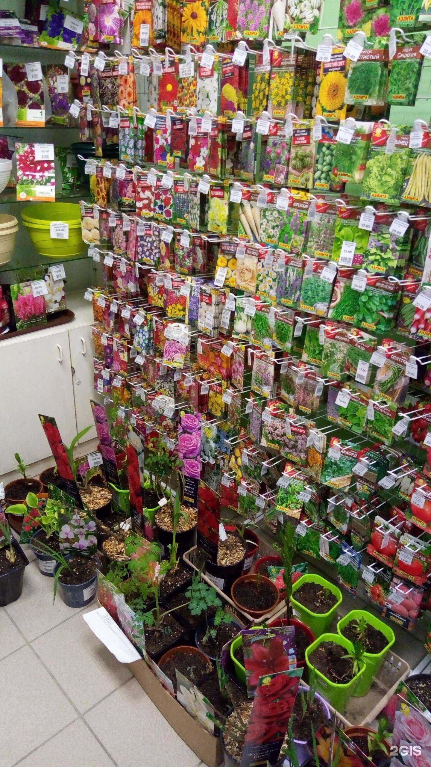 Отзывы на компанию Мой сад.рус в Воронеже c фото