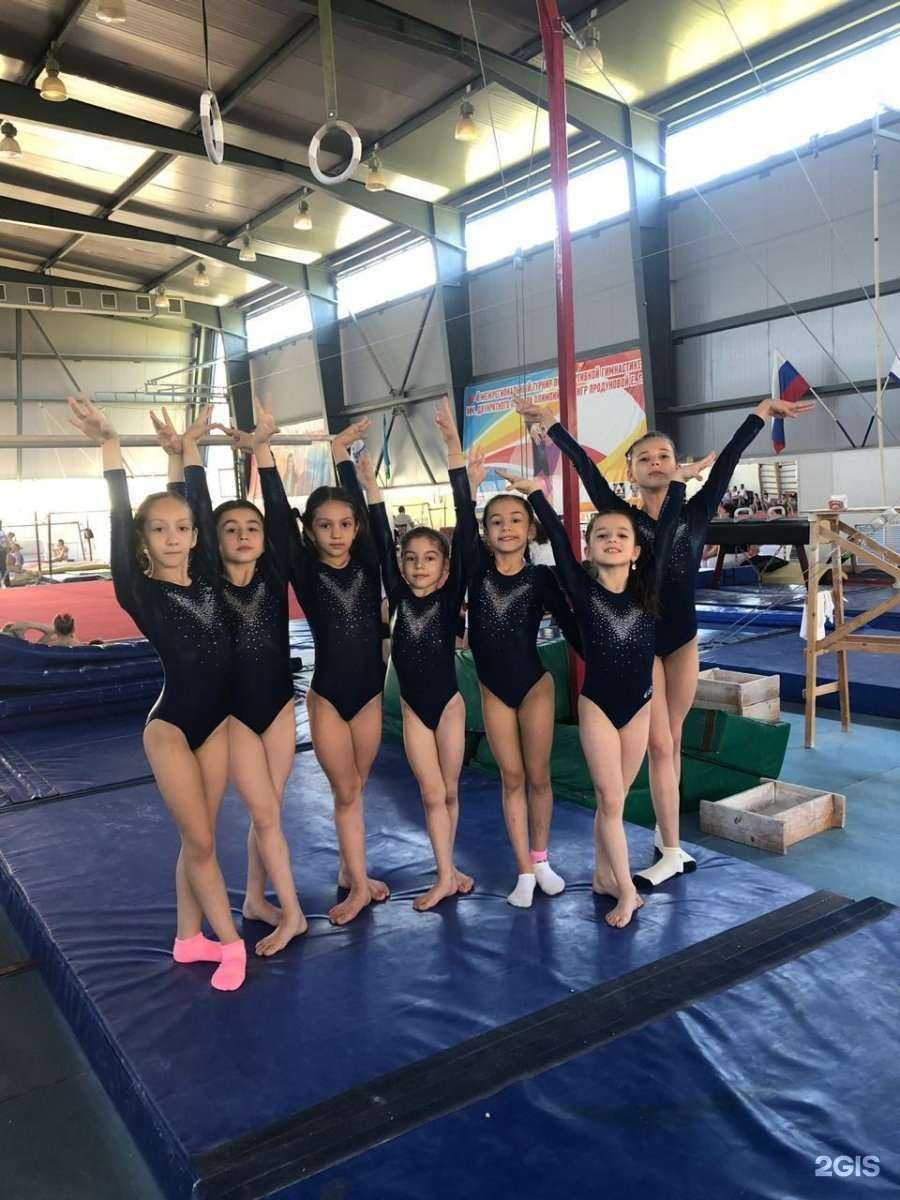 Отзывы на компанию Daggymnastics в г. Махачкала c фото