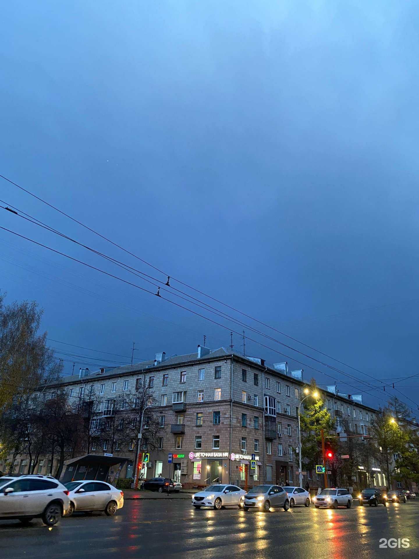 Отзывы на компанию Alma cantina в Кемерове c фото - фотография 2 из 2