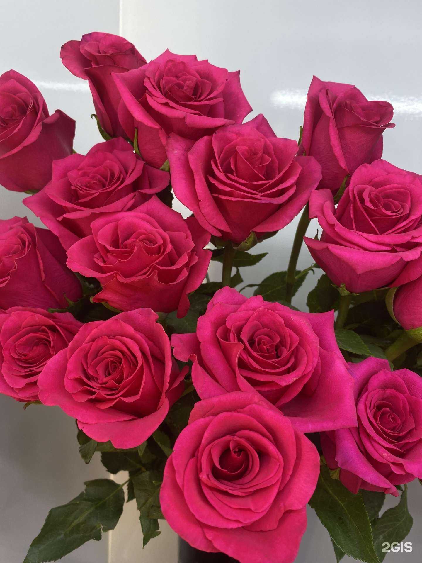 Отзывы на компанию Жасмин в г. Чита c фото