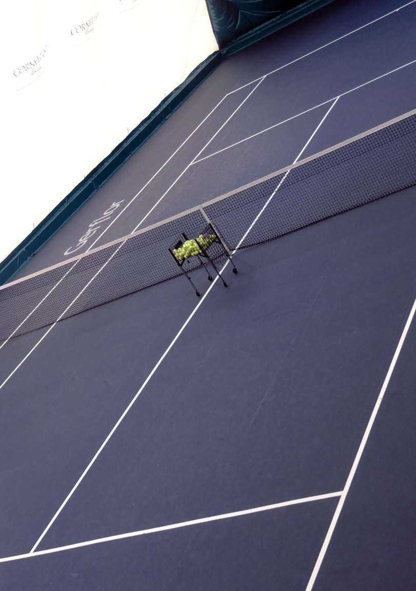 Отзывы на компанию Чемпион в Томске c фото