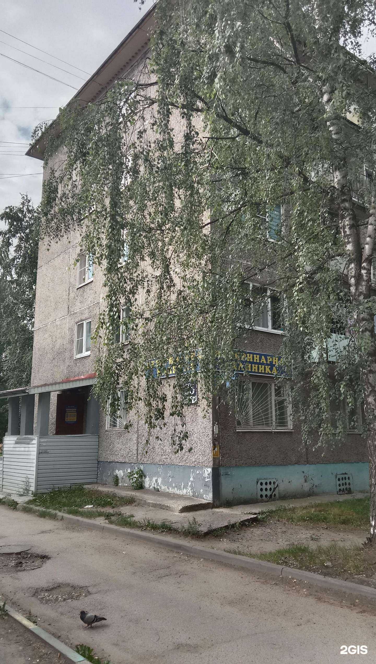 Отзывы на компанию АлексВет в Твери c фото - фотография 2 из 2