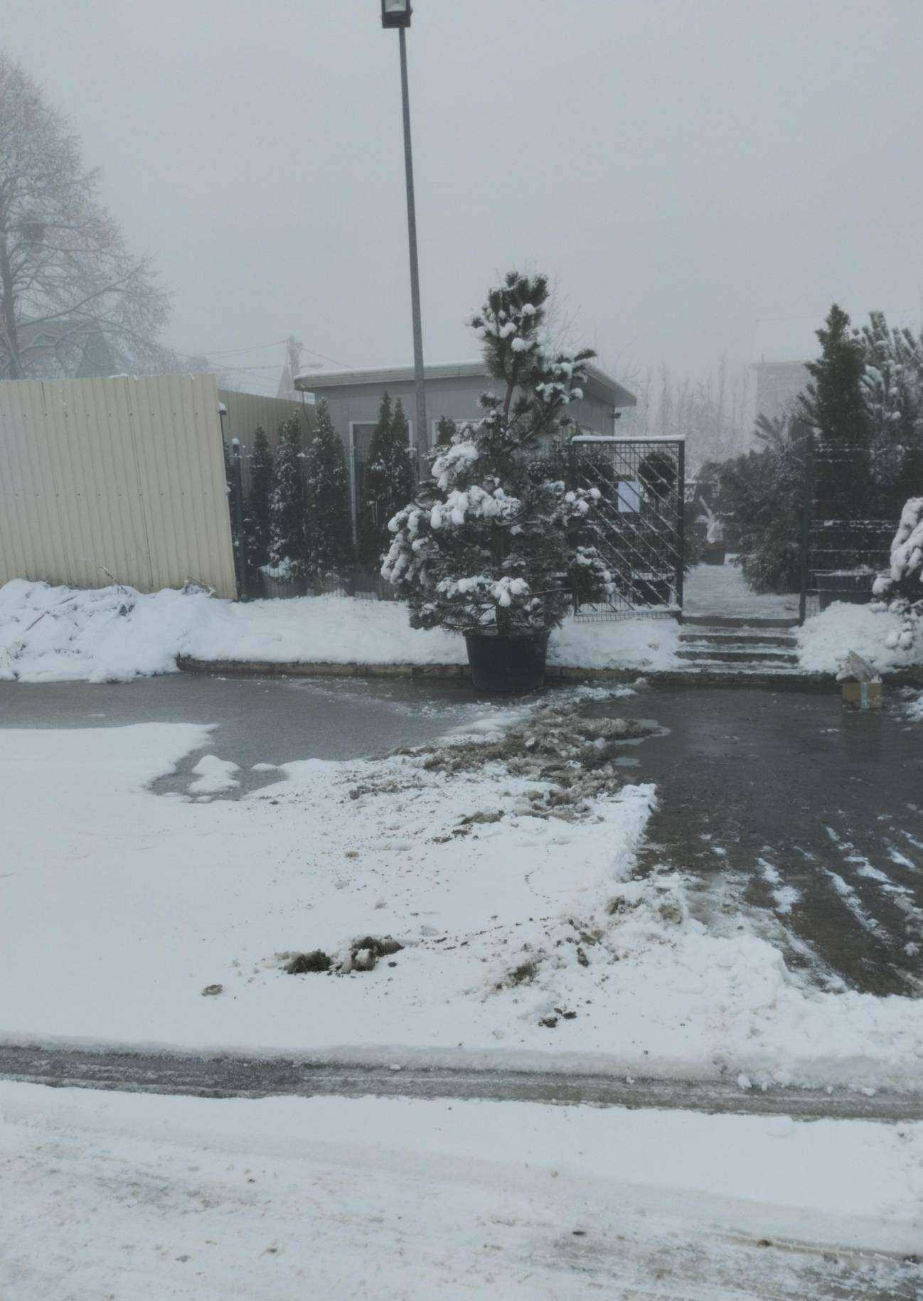 Отзывы на компанию Сады Балтии в Калининграде c фото - фотография 2 из 2