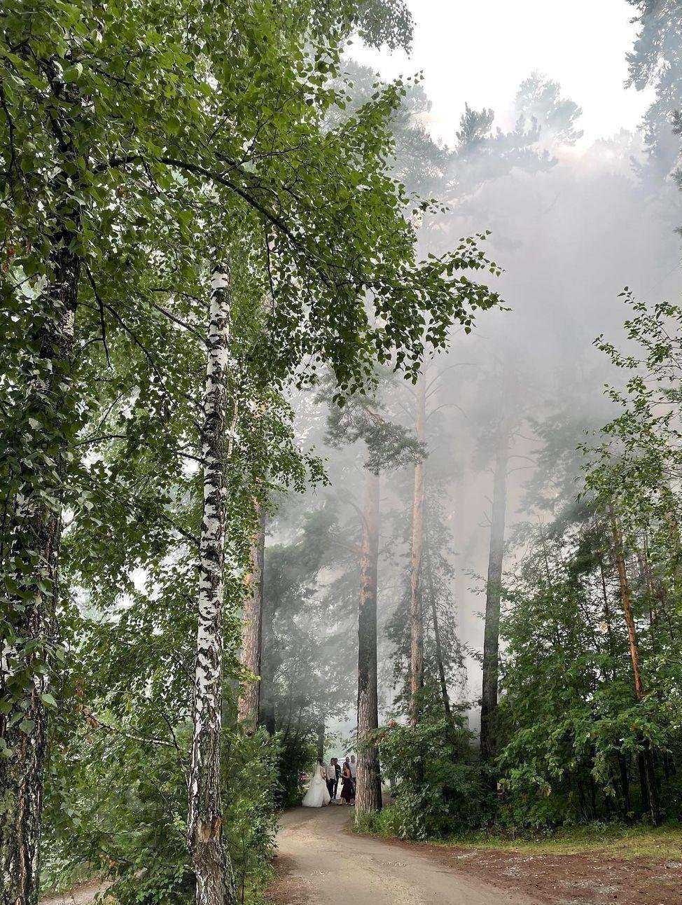 Отзывы на компанию Пункт проката лыж и коньков в г. Новосибирск c фото