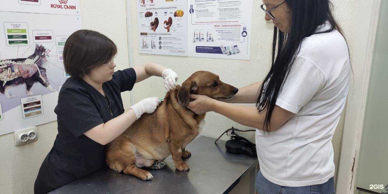 Отзывы на компанию Рикки-Тикки-Тави в г. Волгоград c фото