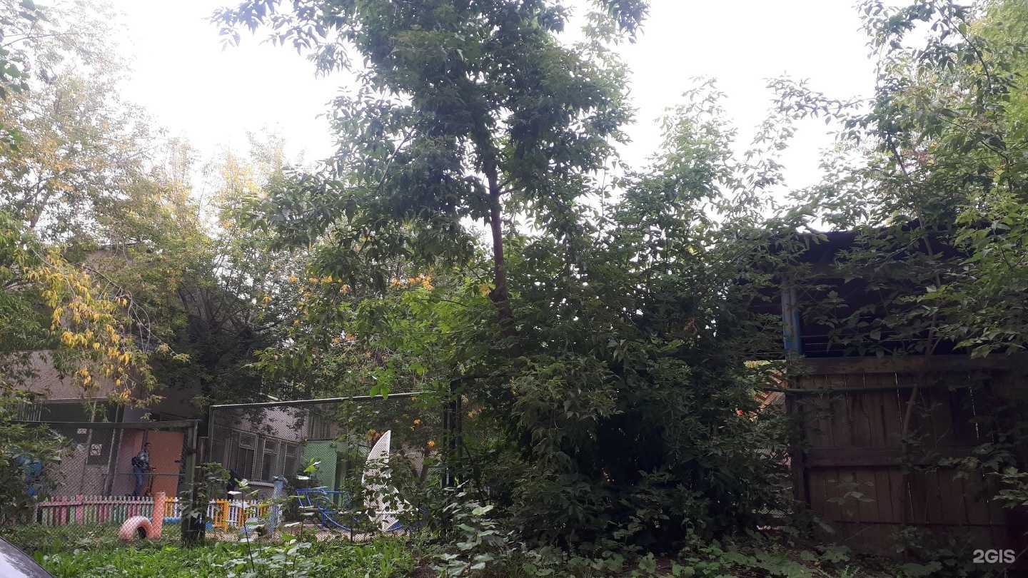 Отзывы на компанию Детский сад №184 в г. Екатеринбург c фото