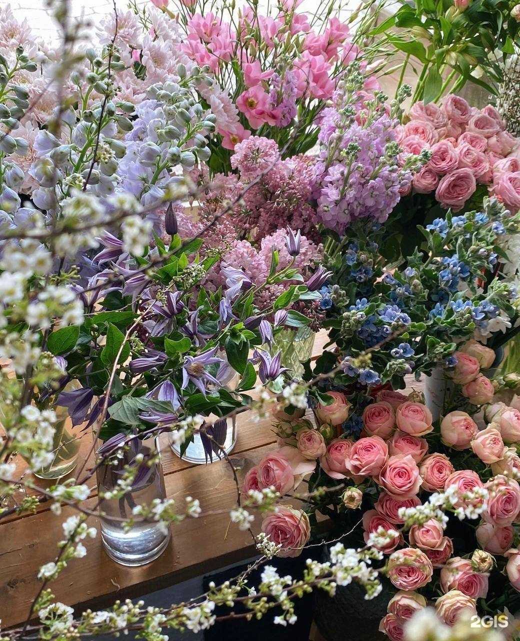 Отзывы на компанию So fresh в г. Калининград c фото