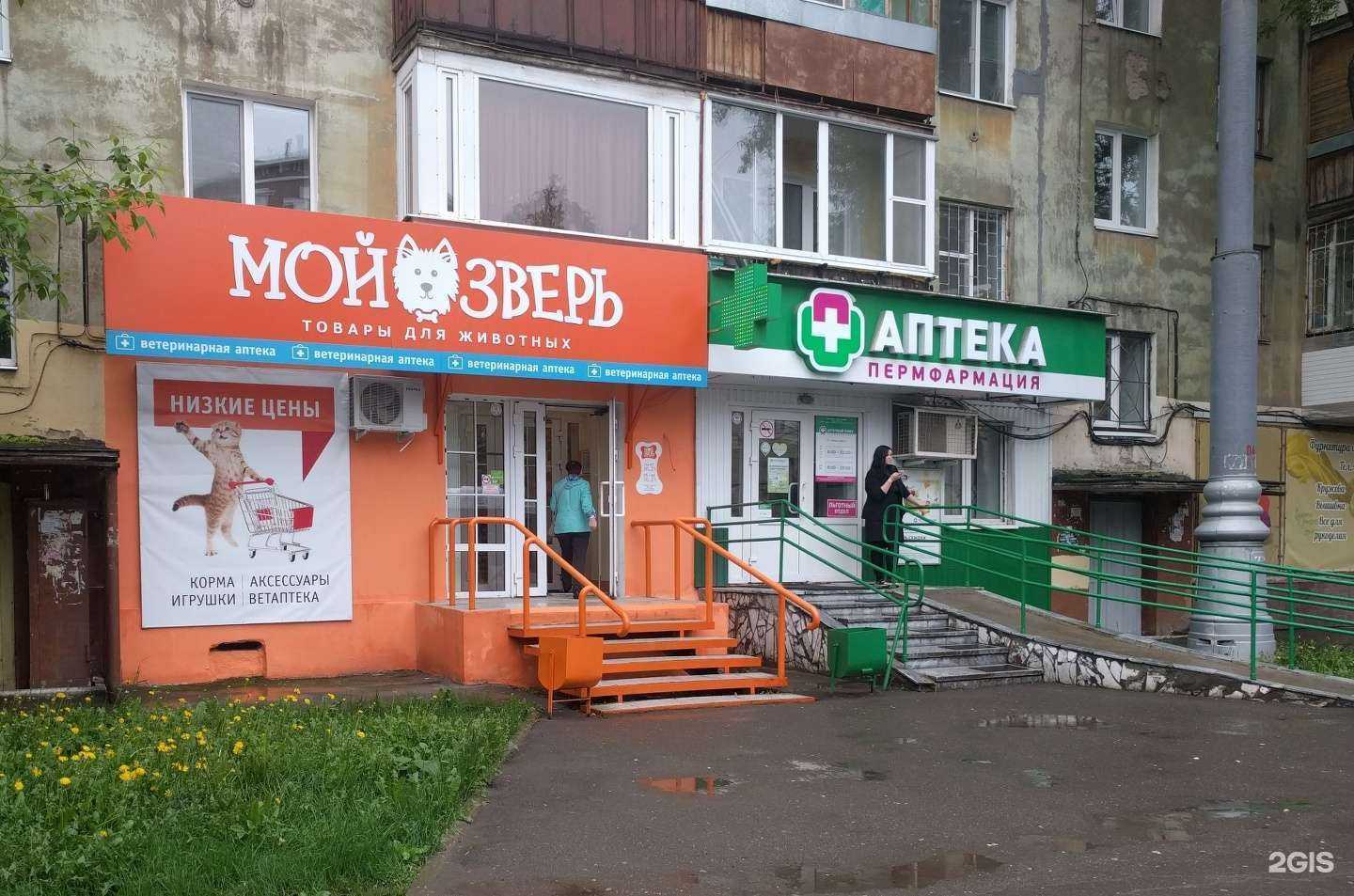 Отзывы на компанию Мой зверь в Перми c фото