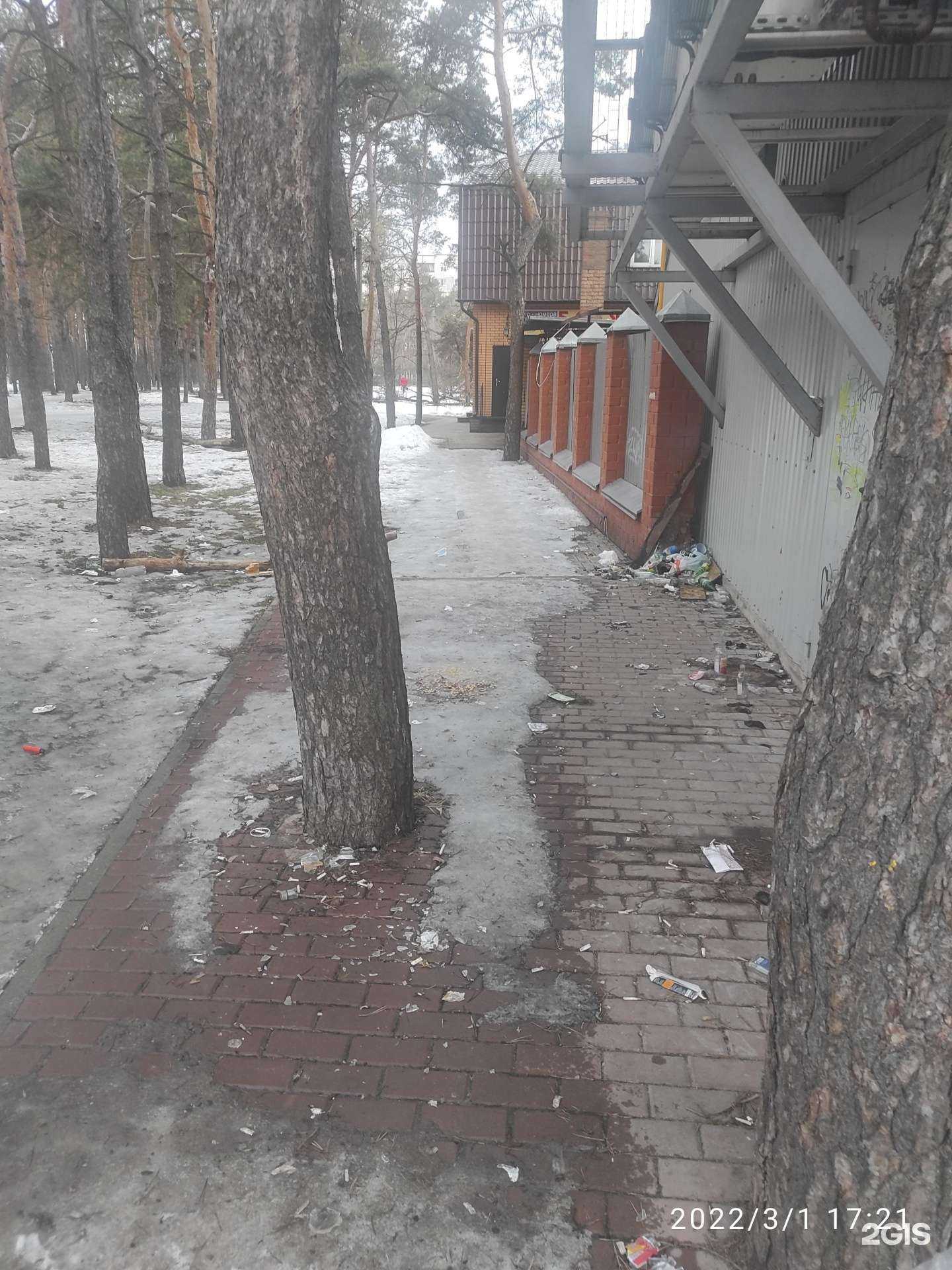 Отзывы на компанию Ковчег в Курске c фото