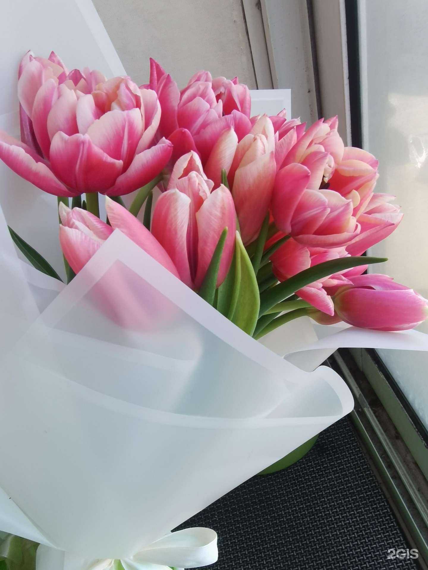 Отзывы на компанию Krasmi в Владивостоке c фото