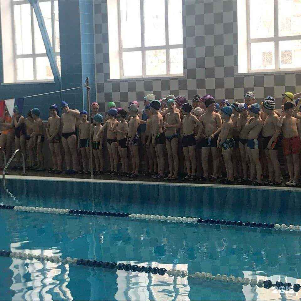 Отзывы на компанию ССШОР по плаванию в Ижевске c фото