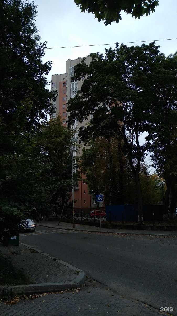 Отзывы на компанию Кенгуру в Калининграде c фото