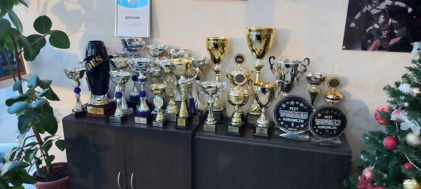 Отзывы на компанию Todes Краснодар Центр в Краснодаре c фото