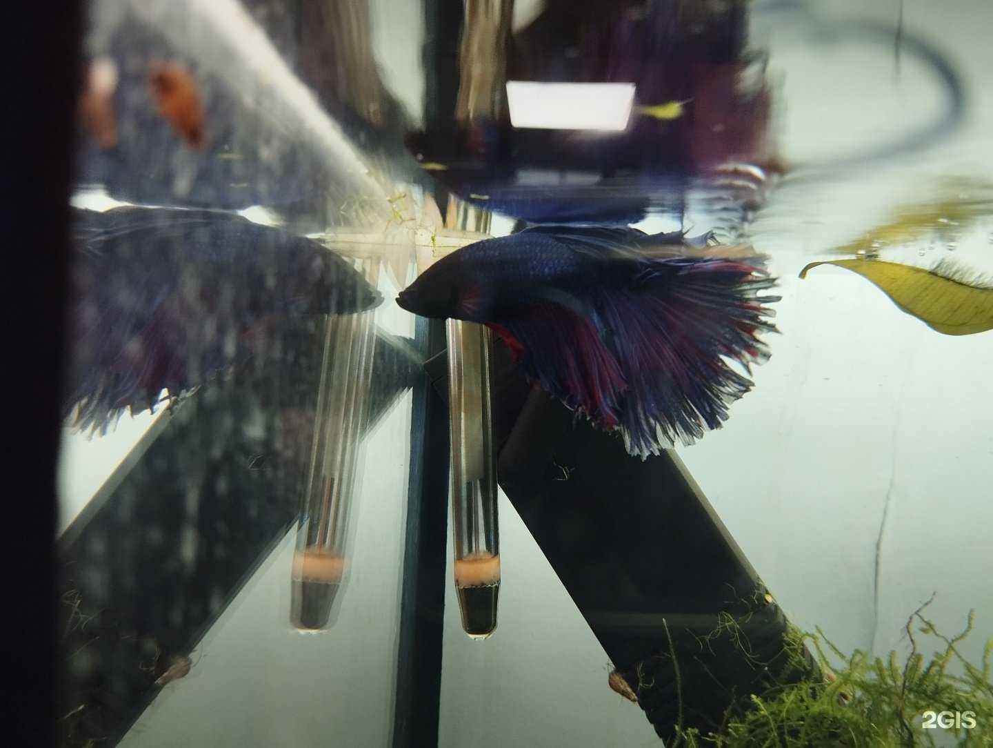 Отзывы на компанию Ариэль в Владивостоке c фото