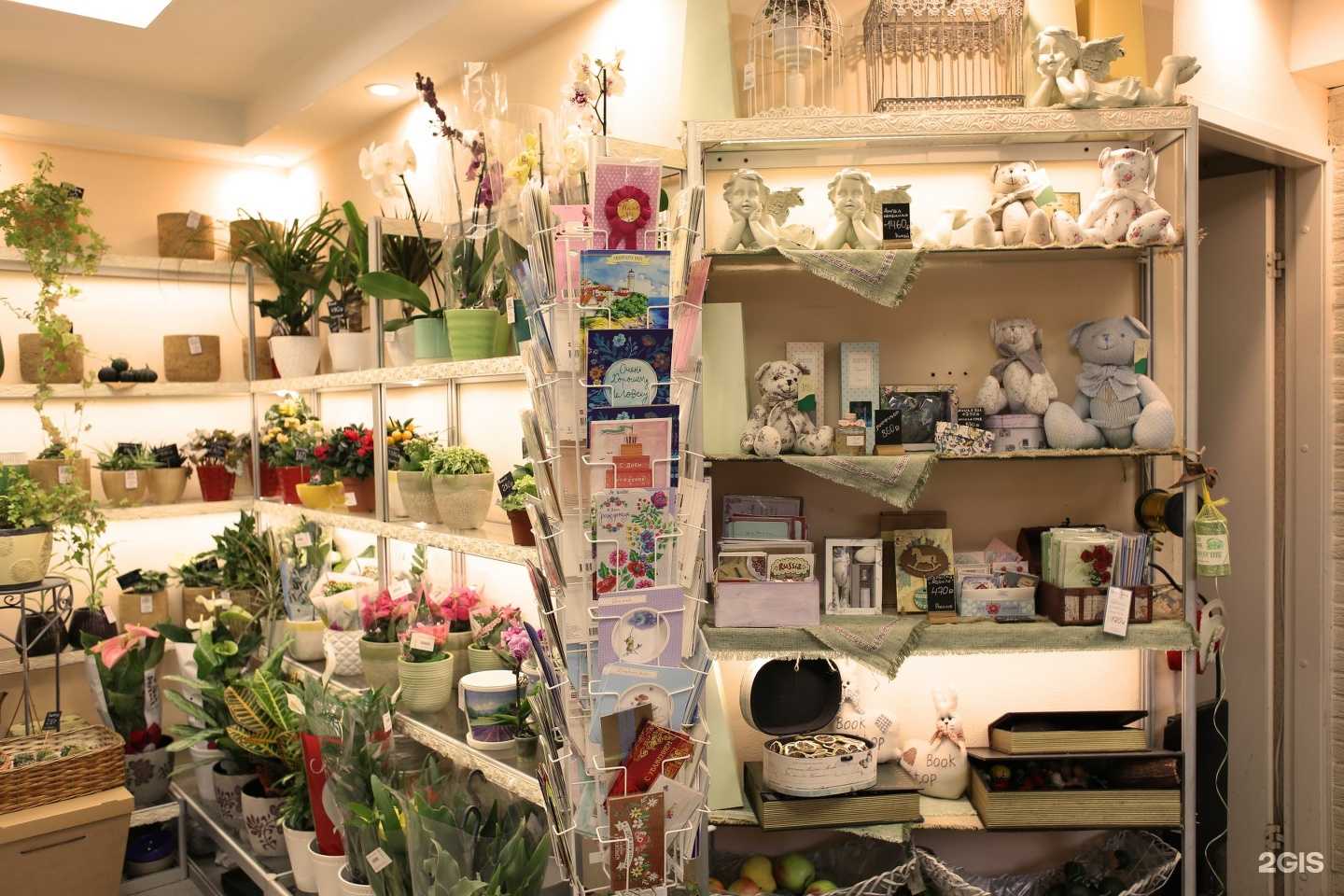 Отзывы на компанию Флора Центр в Владимире c фото