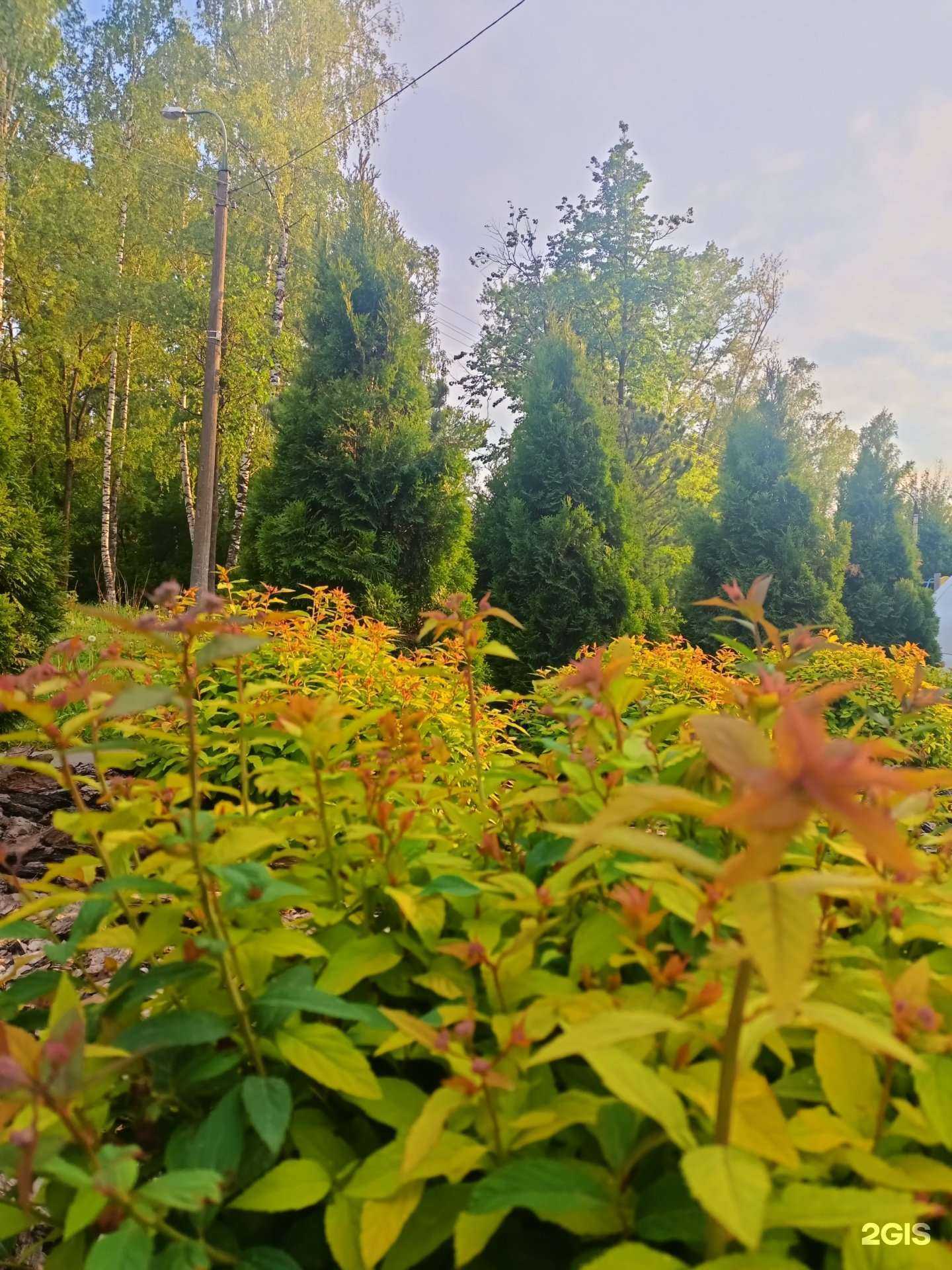 Отзывы на компанию Каскад в Йошкар-Оле c фото - фотография 2 из 2