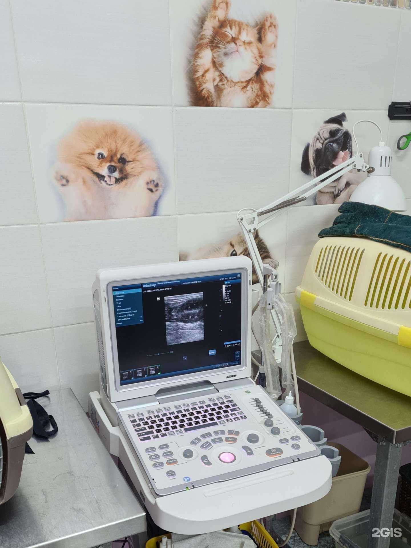 Отзывы на компанию Тортила-Вет в г. Троицк c фото