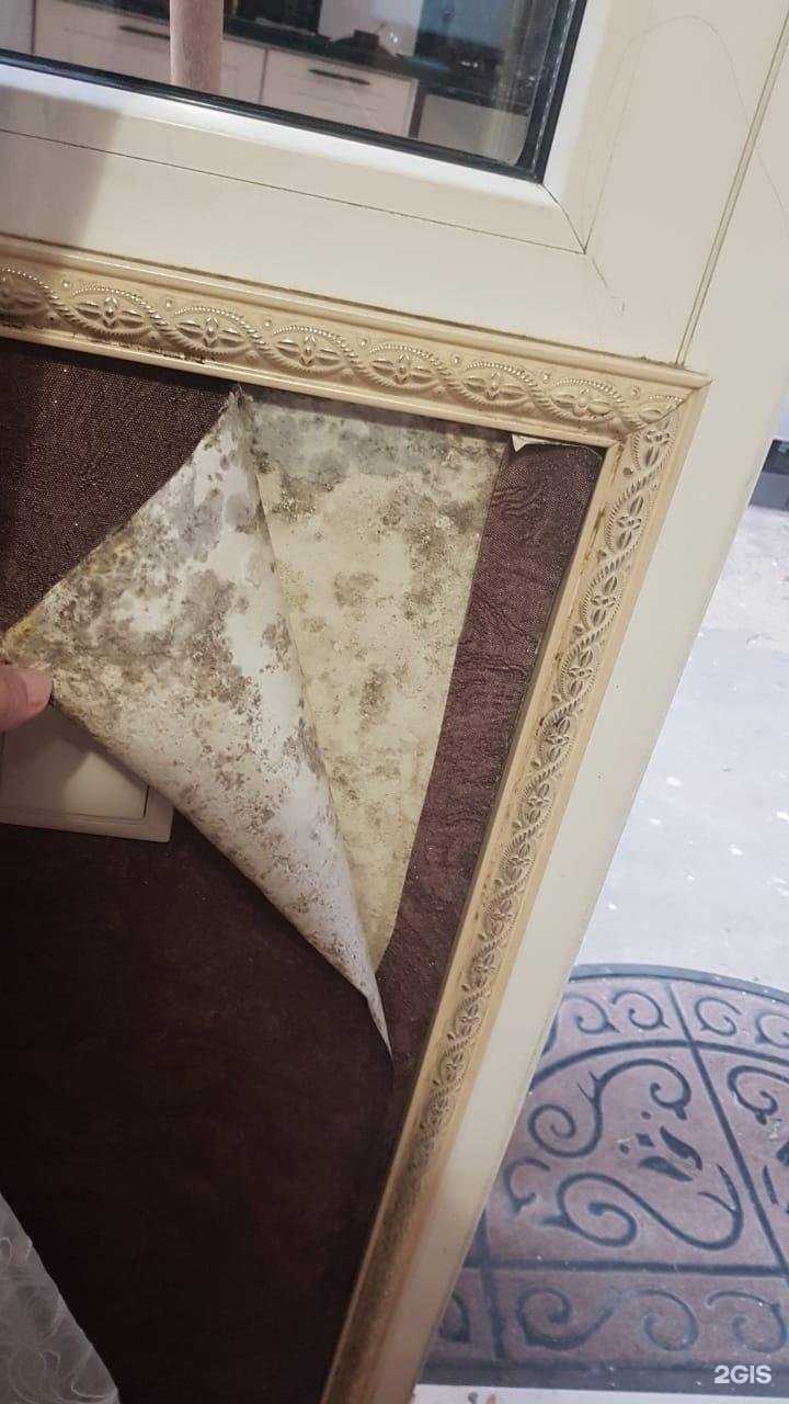 Отзывы на компанию Сакура в Сочи c фото - фотография 2 из 2