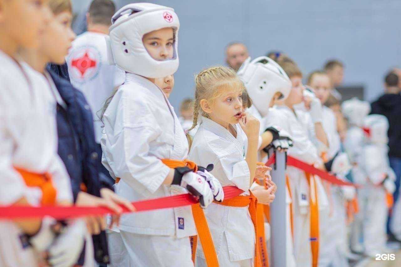 Отзывы на компанию Федерация каратэ киокушинкай в Воронеже c фото