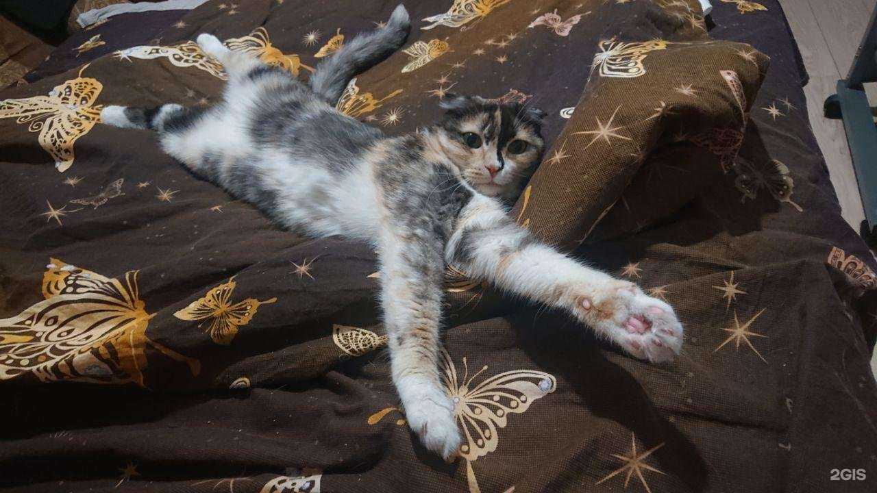 Отзывы на компанию Заповедник в Верхней Пышме c фото