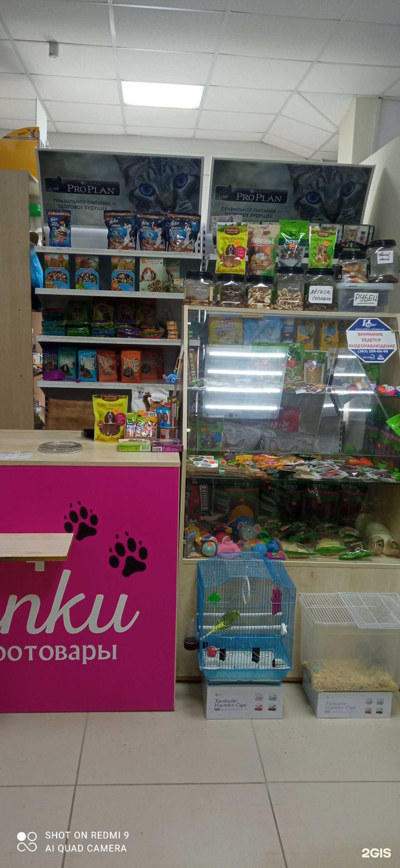 Отзывы на компанию Лапки в г. Новосибирск c фото