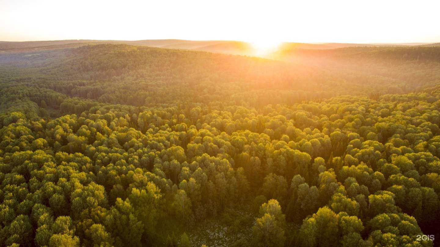 Отзывы на компанию Бердовская таёжная в Новокузнецке c фото