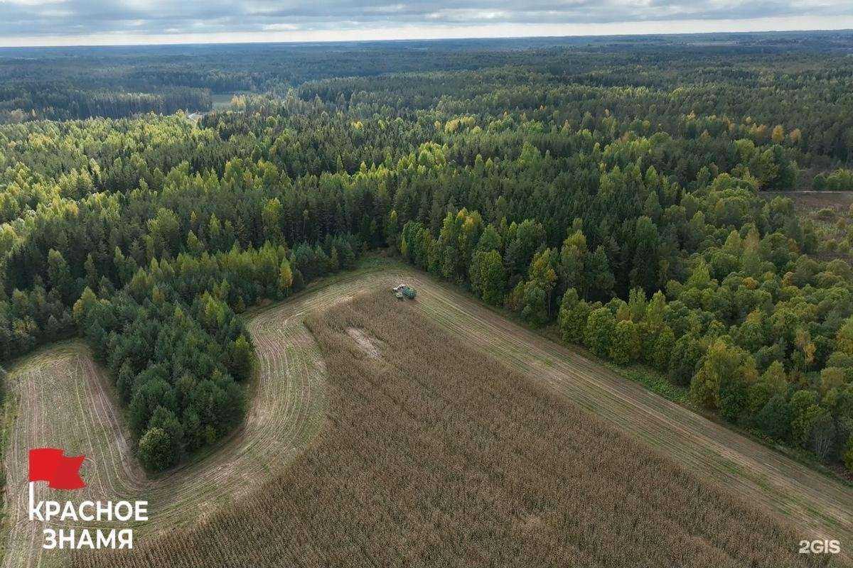 Отзывы на компанию Красное знамя в г. Великие Луки c фото