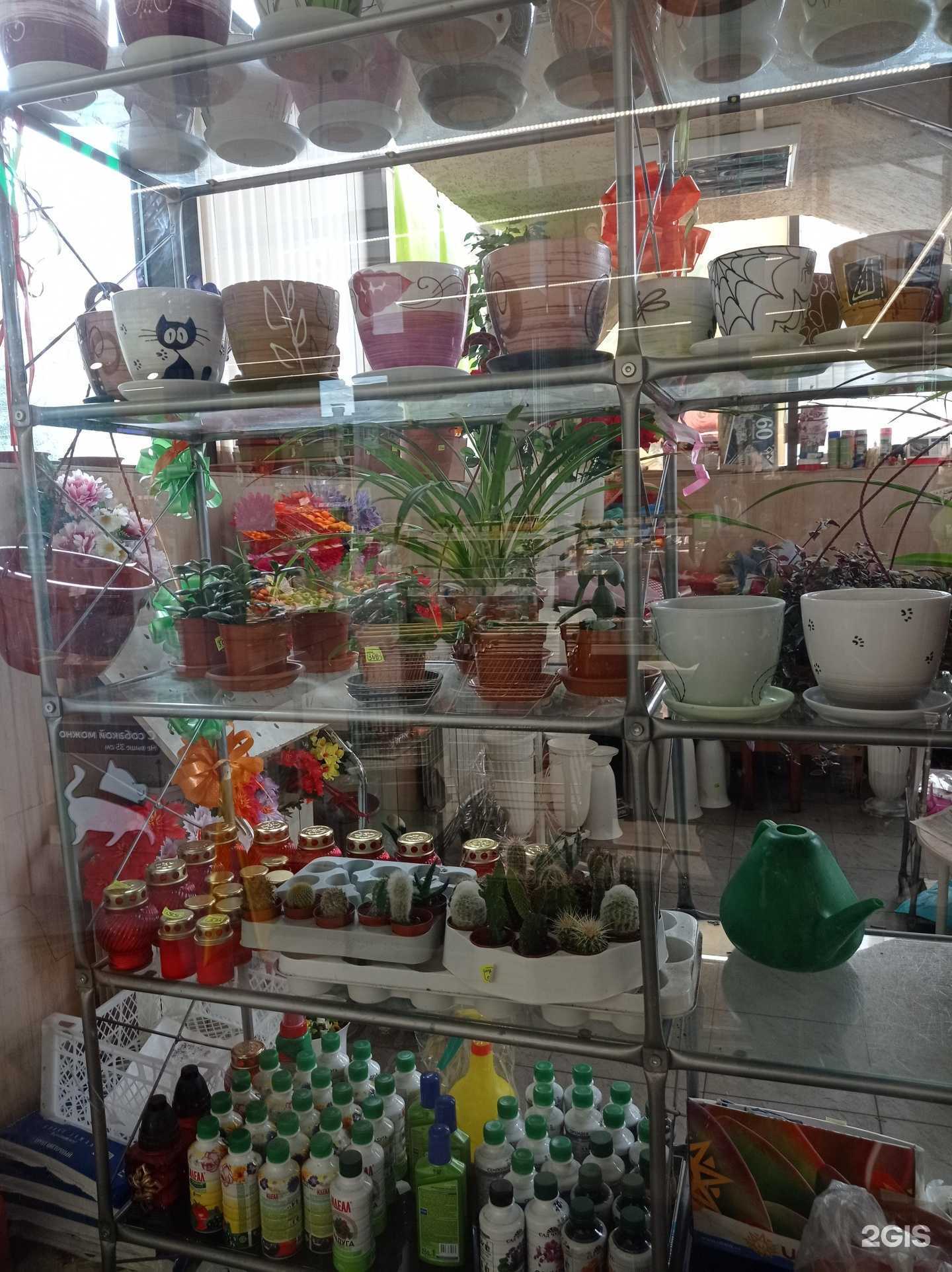 Отзывы на компанию Магазин цветов в г. Всеволожск c фото