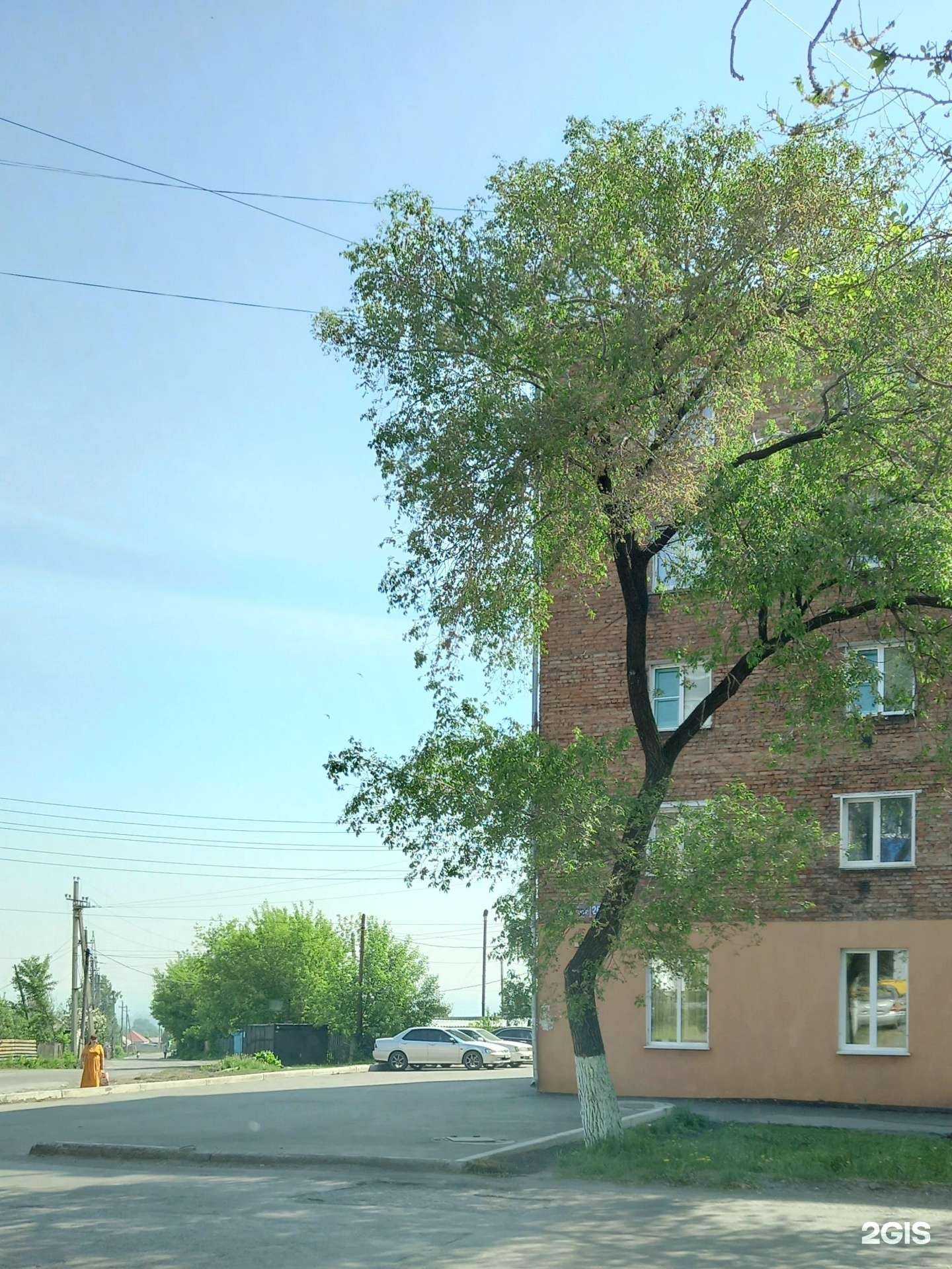 Отзывы на компанию Сибирский лекарь в Прокопьевске c фото - фотография 2 из 2