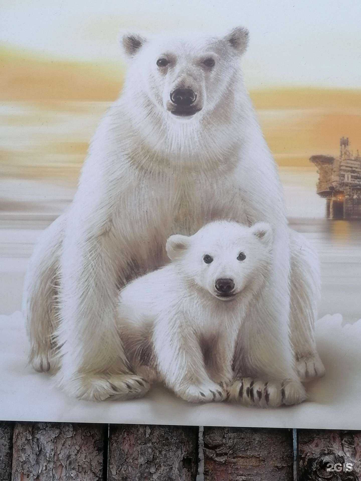 Отзывы на компанию Хозяин севера coffee в Норильске c фото