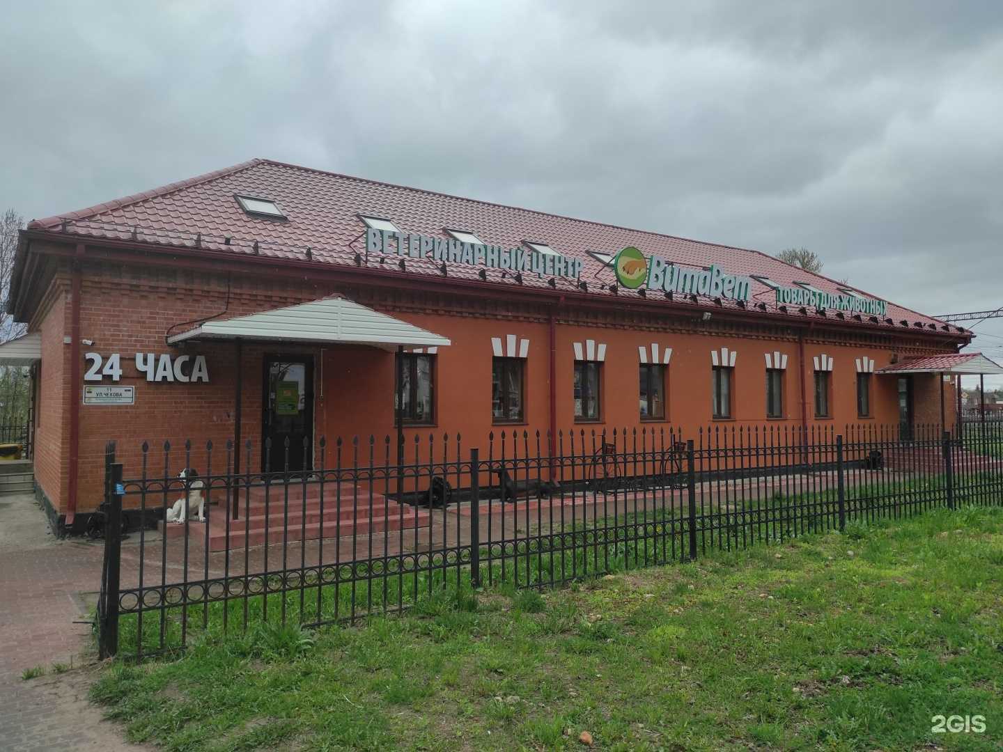 Отзывы на компанию ВитаВет в Гатчине c фото - фотография 2 из 2