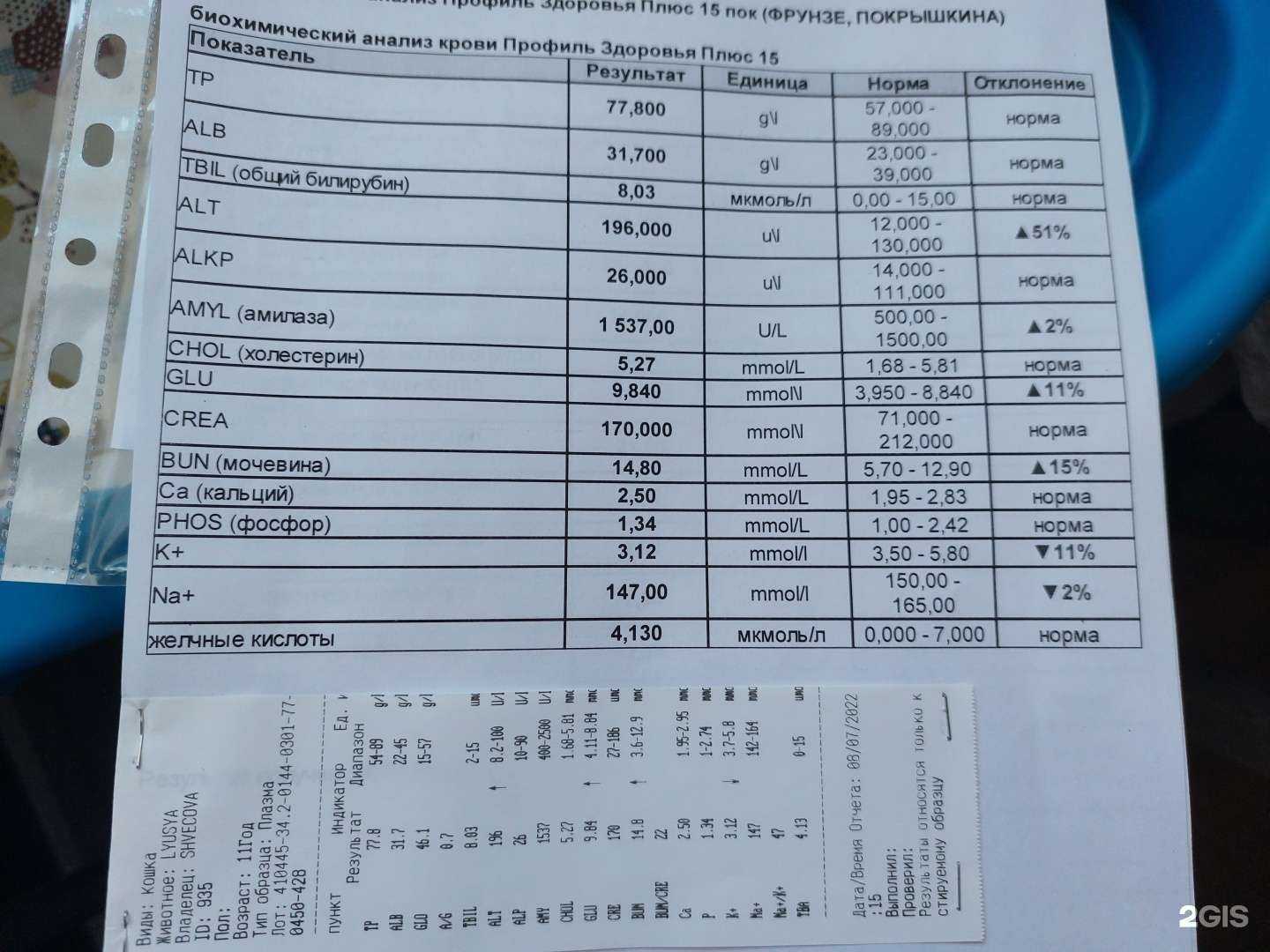 Отзывы на компанию Центральная ветеринарная клиника в Новосибирске c фото