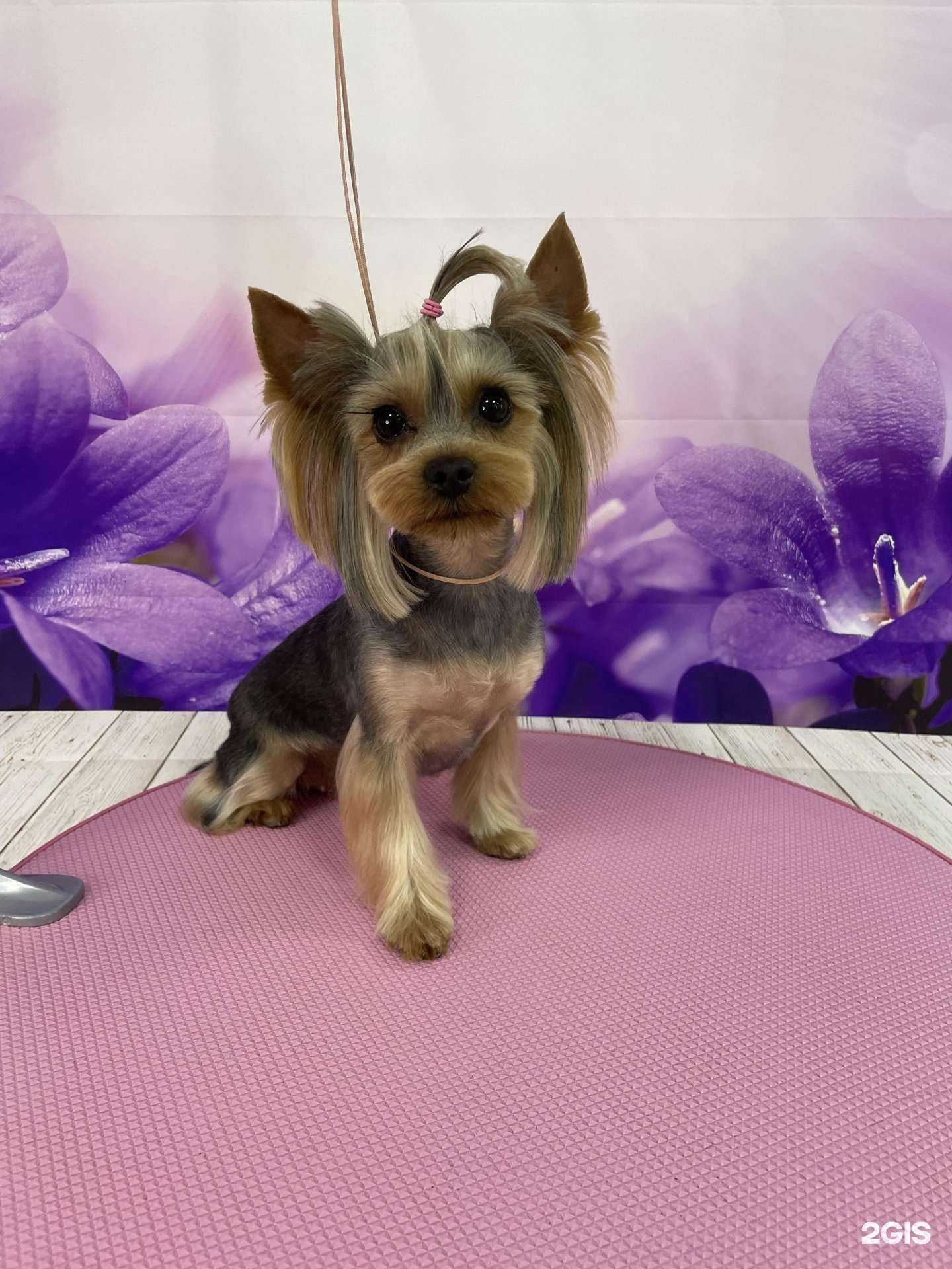 Отзывы на компанию Шери в г. Астрахань c фото