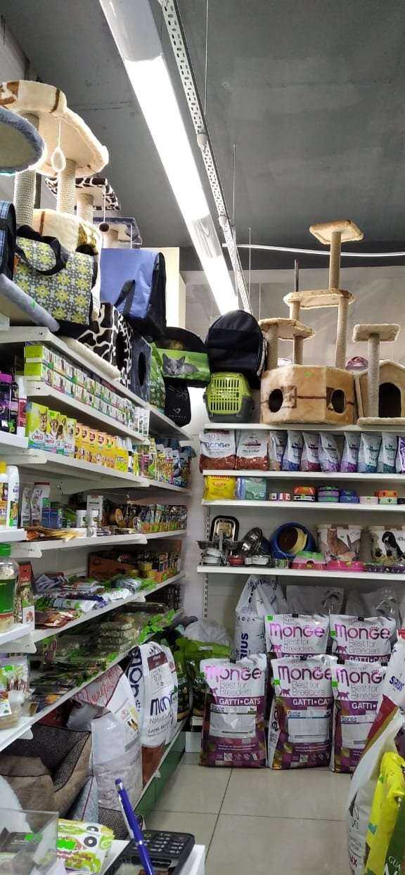 Отзывы на компанию Зоомир в Набережных Челнах c фото