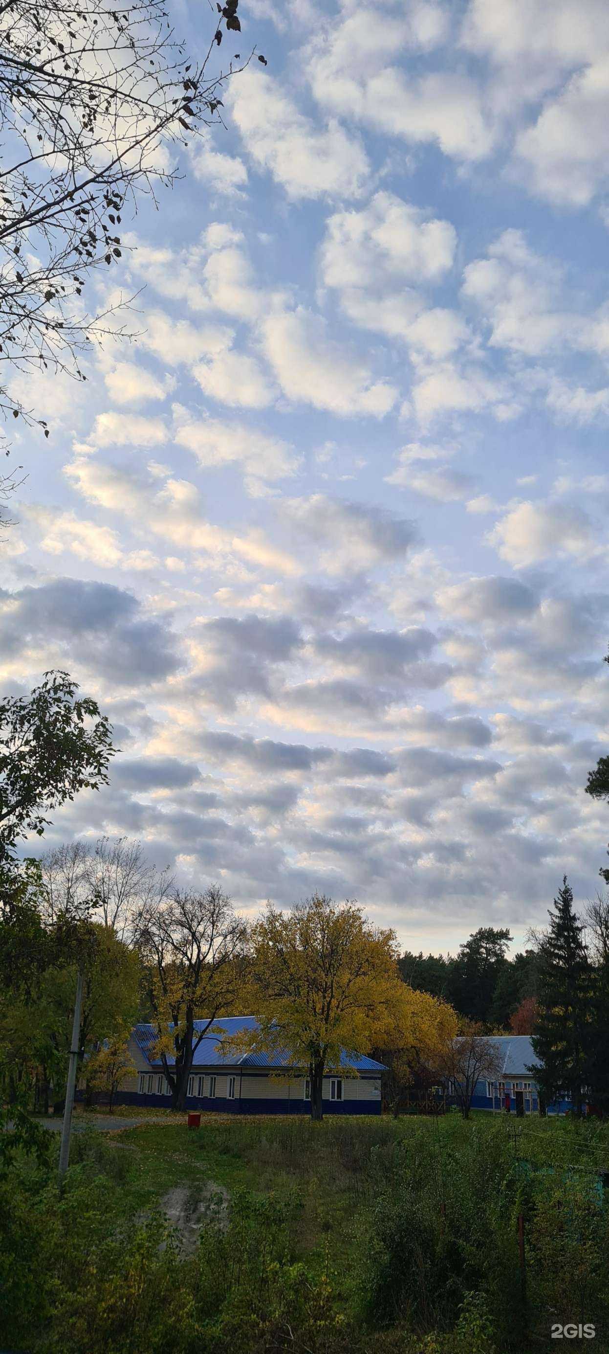 Отзывы на компанию Лазурный в Бердске c фото