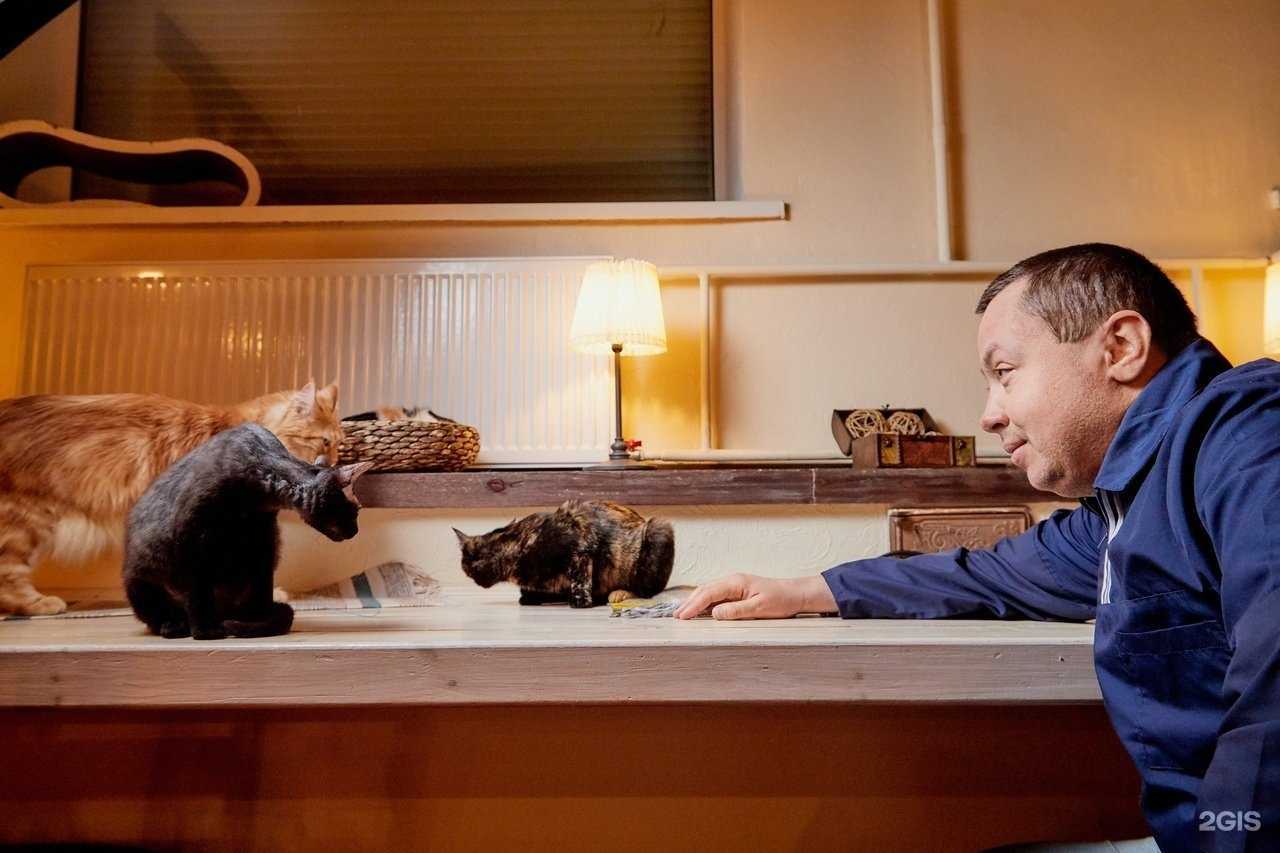 Отзывы на компанию Ветклиника Соболевых в Кирове c фото