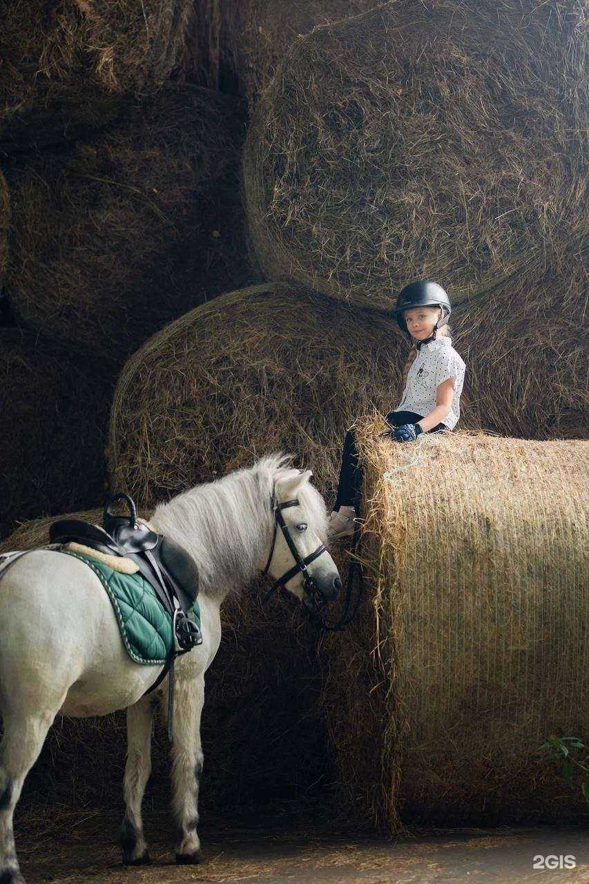 Отзывы на компанию Государственный аграрный университет Северного Зауралья в г. Тюмень c фото