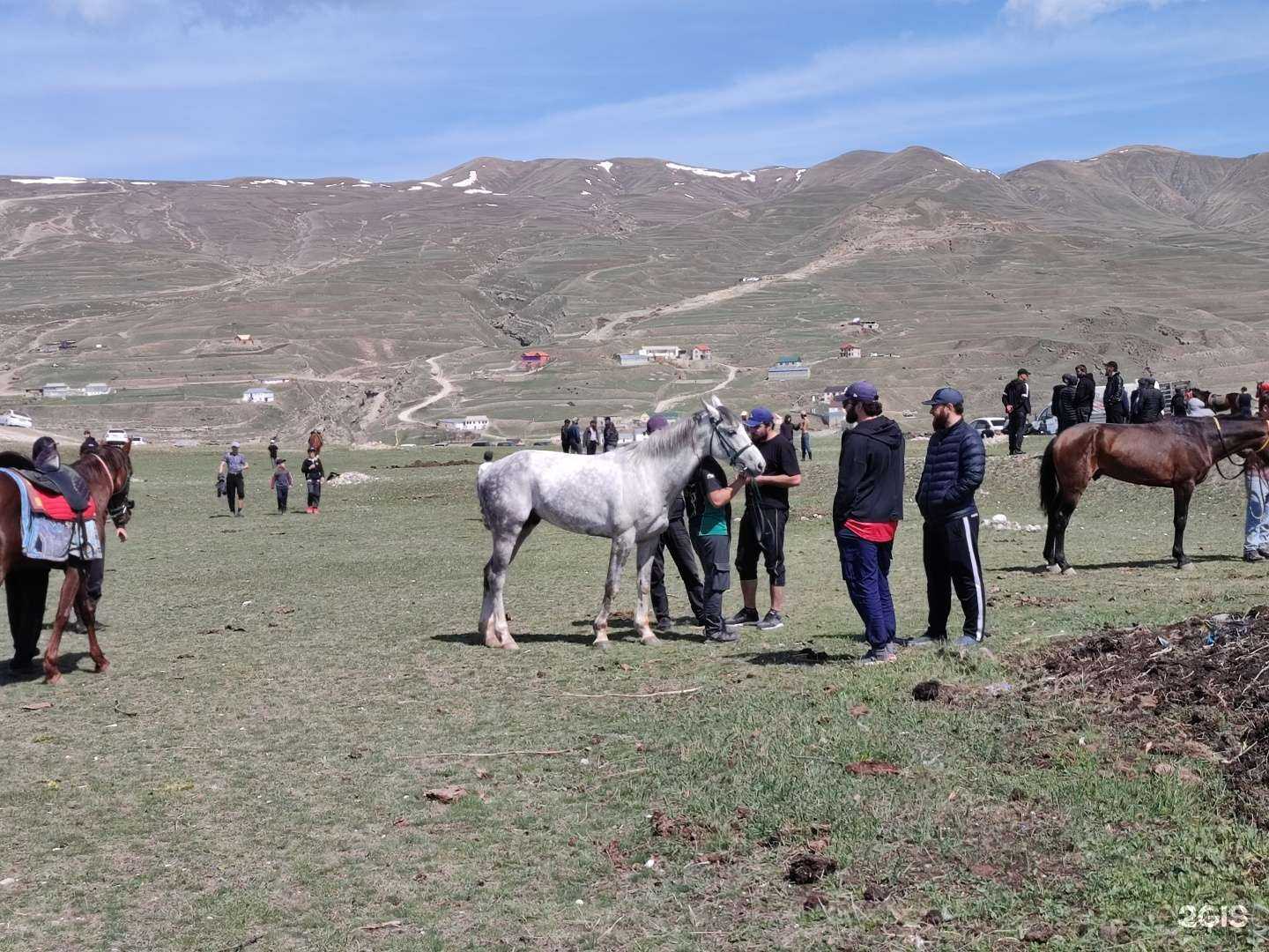 Отзывы на компанию Serdce vsadnika в Хасавюрте c фото