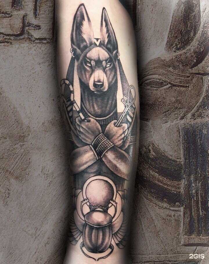 Отзывы на компанию Solovey в Анапе c фото